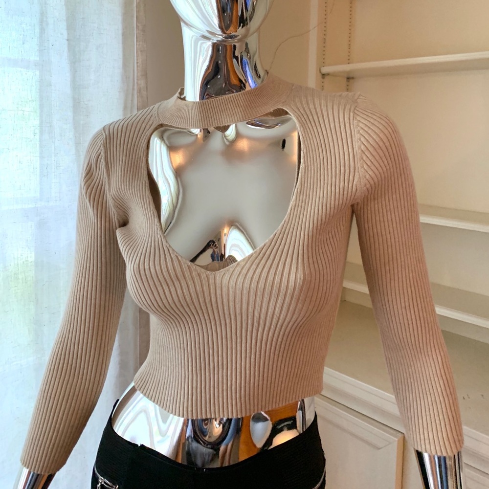 Tan crop top with sleeves